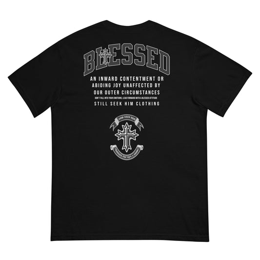 Unisex Blessed No Matter The Circumstance Garment-Dyed Heavyweight T-Shirt